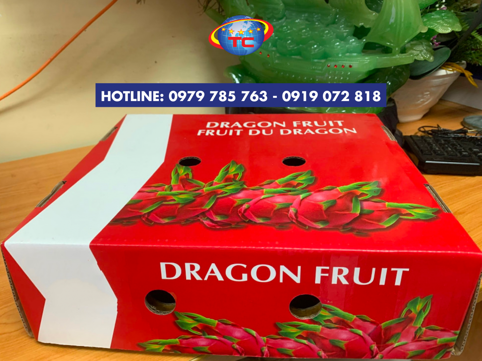 cung-cap-thung-carton-dung-trai-cay-tet