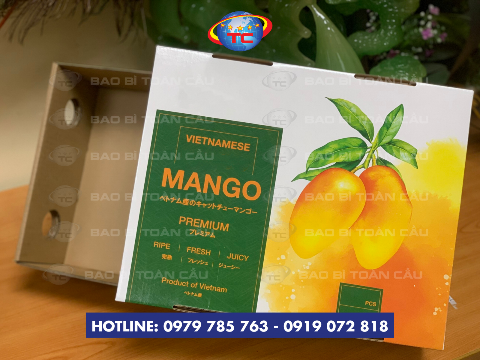 xuong-lam-thung-am-duong-dung-xoai