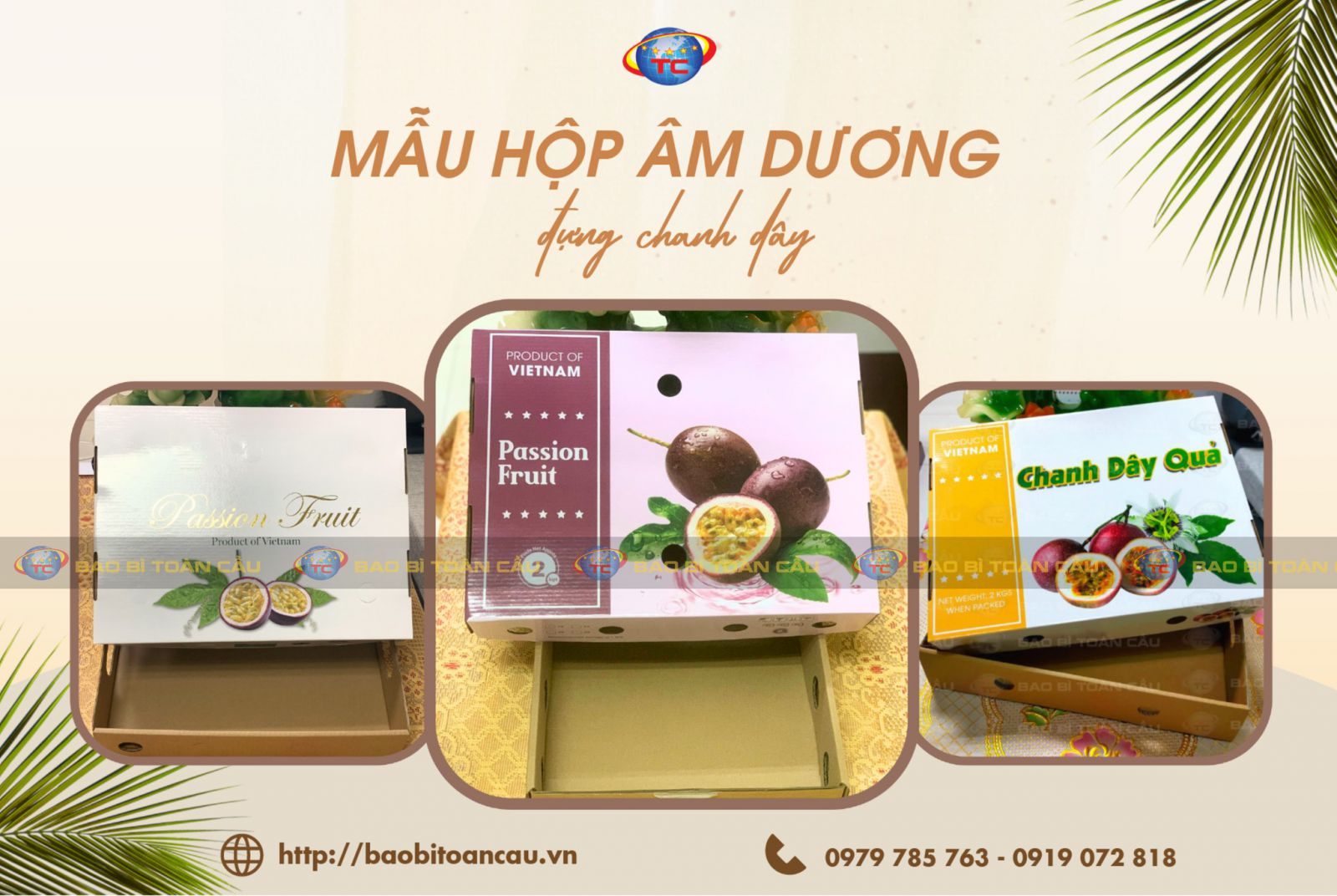 thung-am-duong-dung-chanh-day