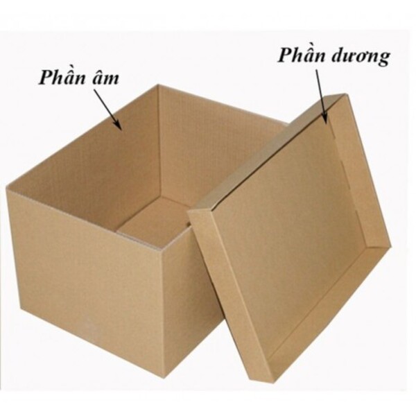 thung-carton-am-duong-tai-binh-duong