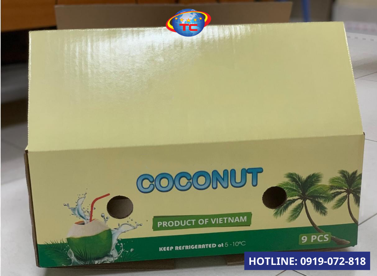 Mẫu thùng carton đựng dừa xuất khẩu tại BAO BÌ TOÀN CẦU 